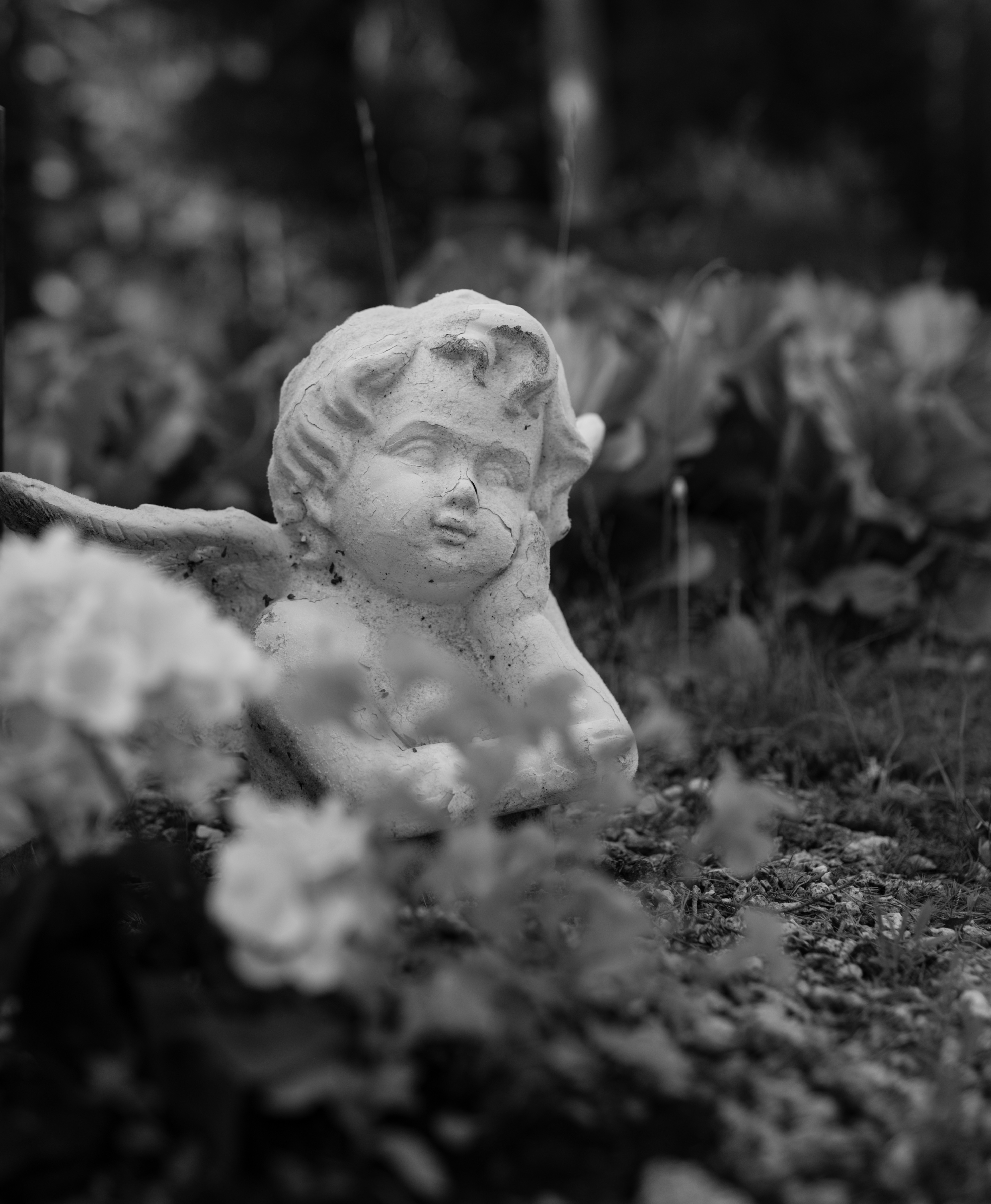 mustavalkoinen kuva jos enkeli käsi poskella