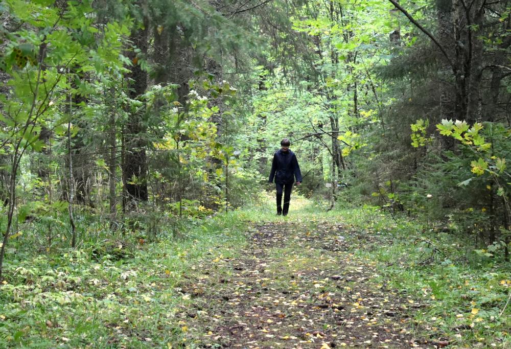 Nainen kävelee syksyisessä metsässä polkua pitkin.